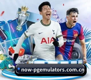 我们在做什么（PGemulator）